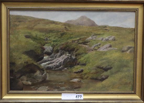 19th century English School, oil on board, Moorland scene, inscribed Jones and dated 1863 verso, 29 x 44cm